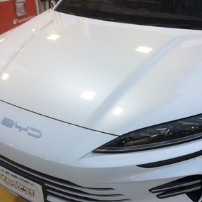その他・BYD・ドルフィン