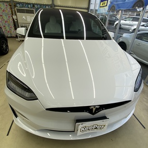 その他・テスラ・モデルX