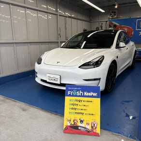 その他・テスラ・モデル３