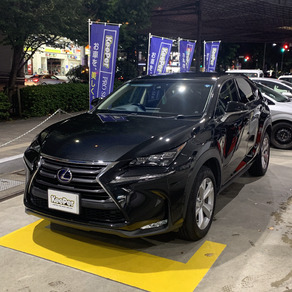 レクサス・NX300h