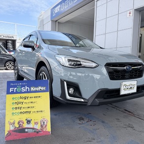 スバル・XV