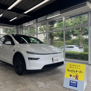 その他・テスラ・モデルY