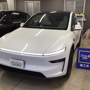その他・テスラ・モデルY