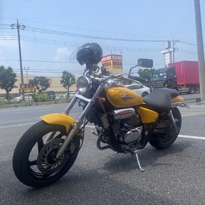 その他・マグナ