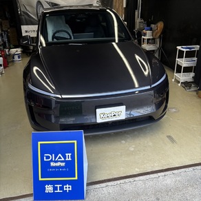 その他・テスラ・モデルY