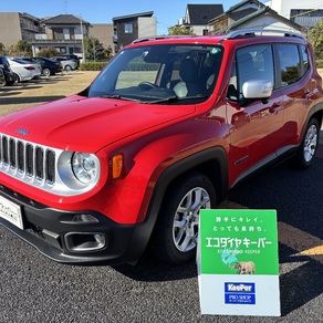 その他・レネゲード