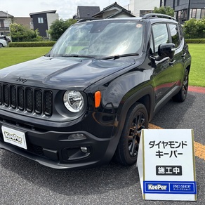 その他・レネゲード