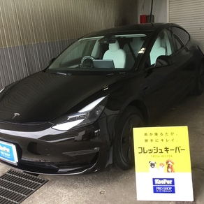 その他・テスラ・モデル３
