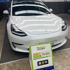 その他・テスラ・モデル３