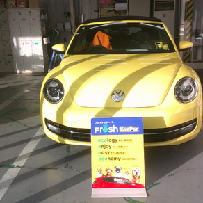 フォルクスワーゲン・ザ・ビートル