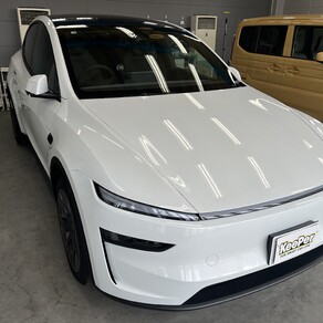 その他・テスラ・モデルY