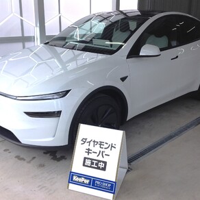その他・テスラ・モデルY