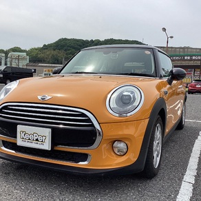 その他・ミニク-パ-