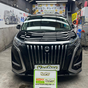 その他・DENZA D9