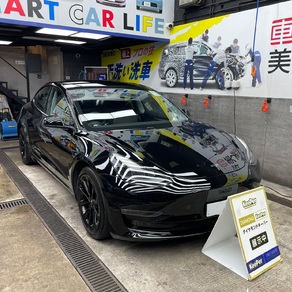 その他・テスラ・モデル３