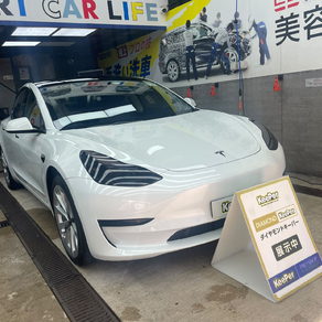 その他・テスラ・モデル３