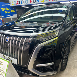 その他・DENZA D9