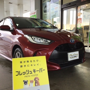 トヨタ・ヤリス