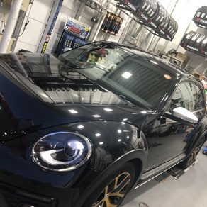 その他・ビートル