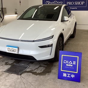 その他・テスラ・モデルY