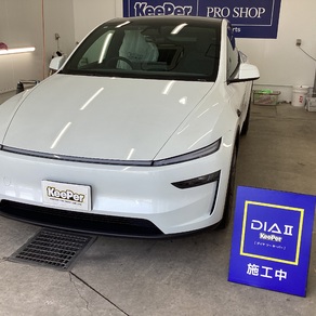 その他・テスラ・モデルY