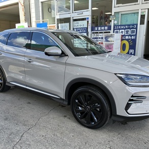 その他・BYD シーライオン6