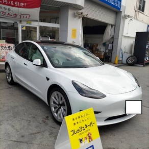 その他・テスラ・モデル３