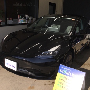 その他・テスラ