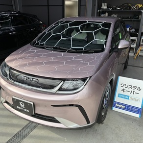 その他・ドルフィン