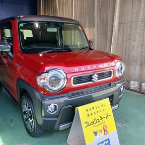 スズキ・ハスラー