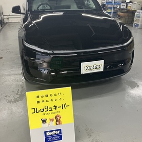 その他・テスラ・モデルY