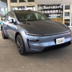その他・テスラ・モデルY