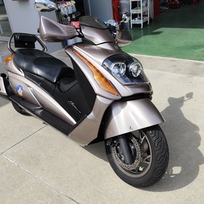 スズキ・ジェンマ