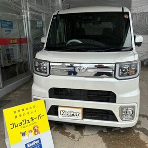 トヨタ・ピクシス メガ