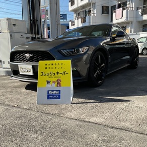 フォード・マスタング