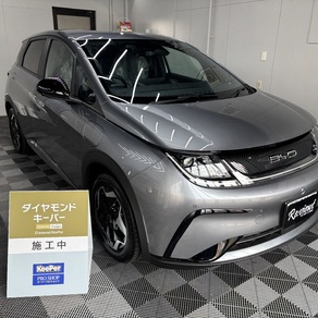 その他・ドルフィン