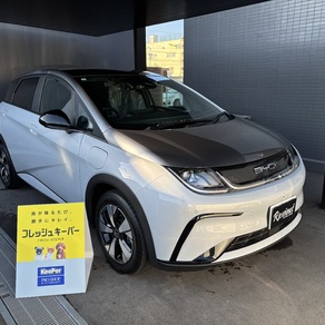 その他・ドルフィン