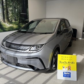 その他・ドルフィン