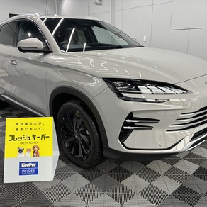 その他・SEALION6