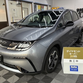 その他・ドルフィン