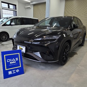 その他・BYD　サルーン7