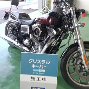 その他・ハーレー