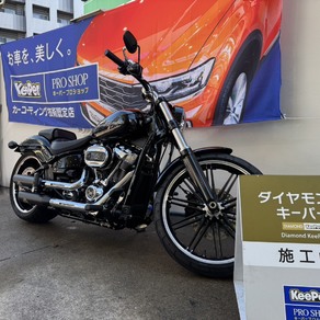 その他・ハーレー