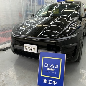その他・テスラ・モデルY