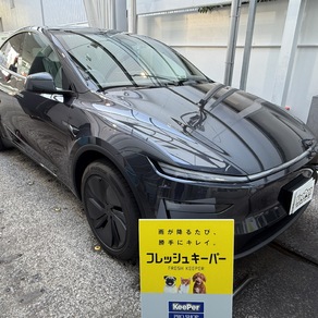 その他・テスラ・モデルY