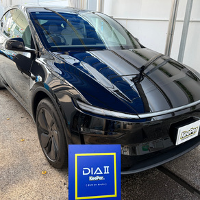 その他・テスラ・モデルY