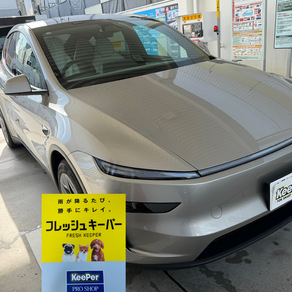 その他・テスラ・モデルY