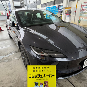 その他・テスラ・モデル３