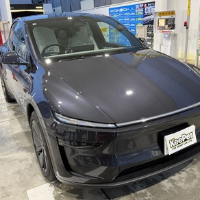 その他・テスラ・モデルY