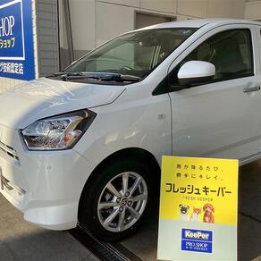 トヨタ・ピクシス エポック